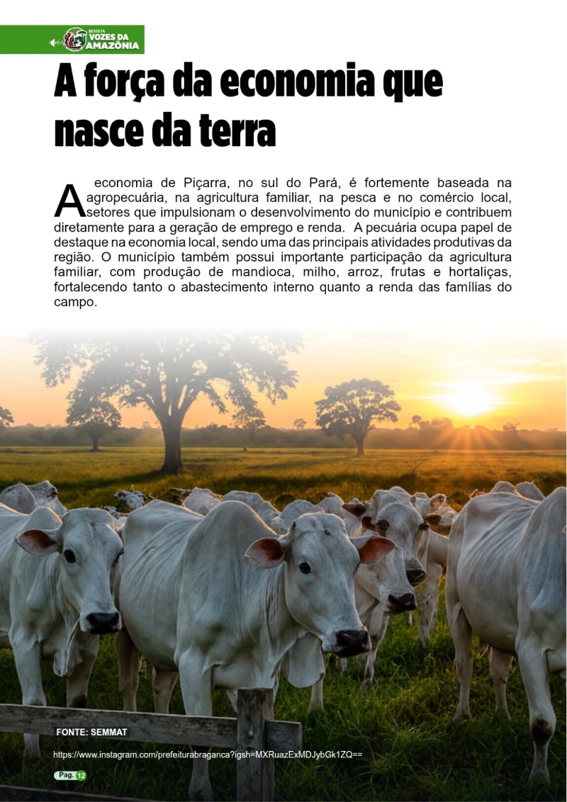 REVISTA PIÇARRA-PA Entregue — page 12