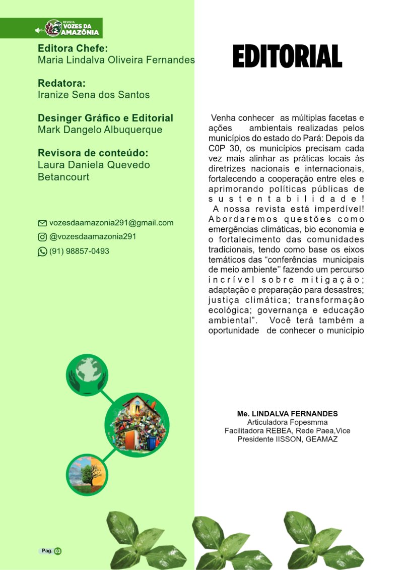REVISTA PIÇARRA-PA Entregue — page 3