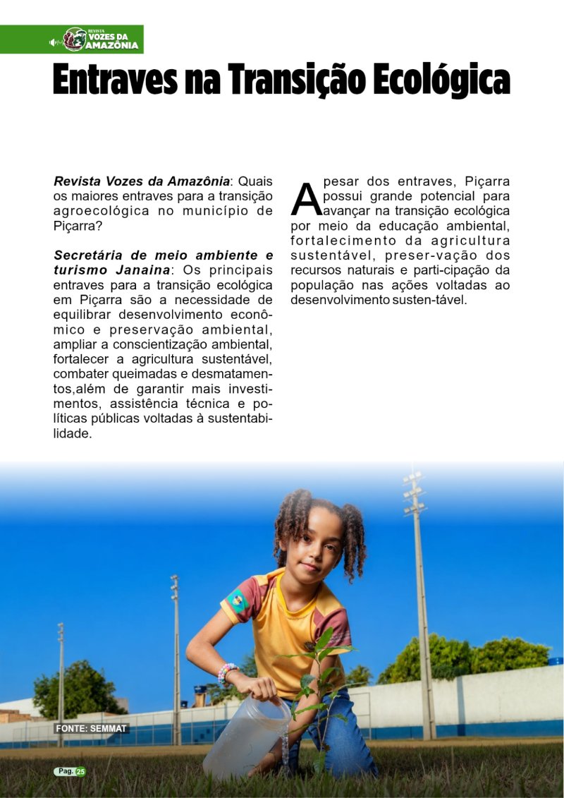 REVISTA PIÇARRA-PA Entregue — page 25