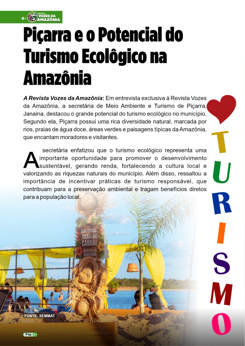 REVISTA PIÇARRA-PA Entregue — page 31