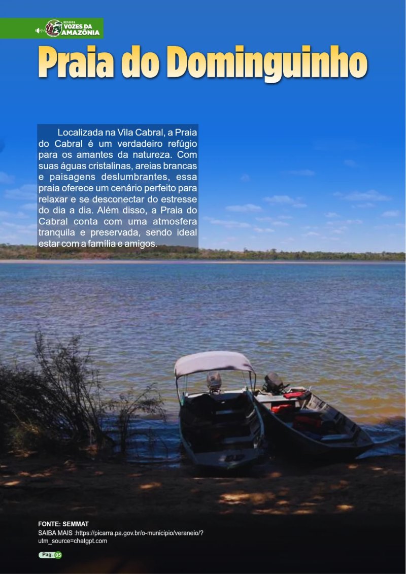 REVISTA PIÇARRA-PA Entregue — page 5
