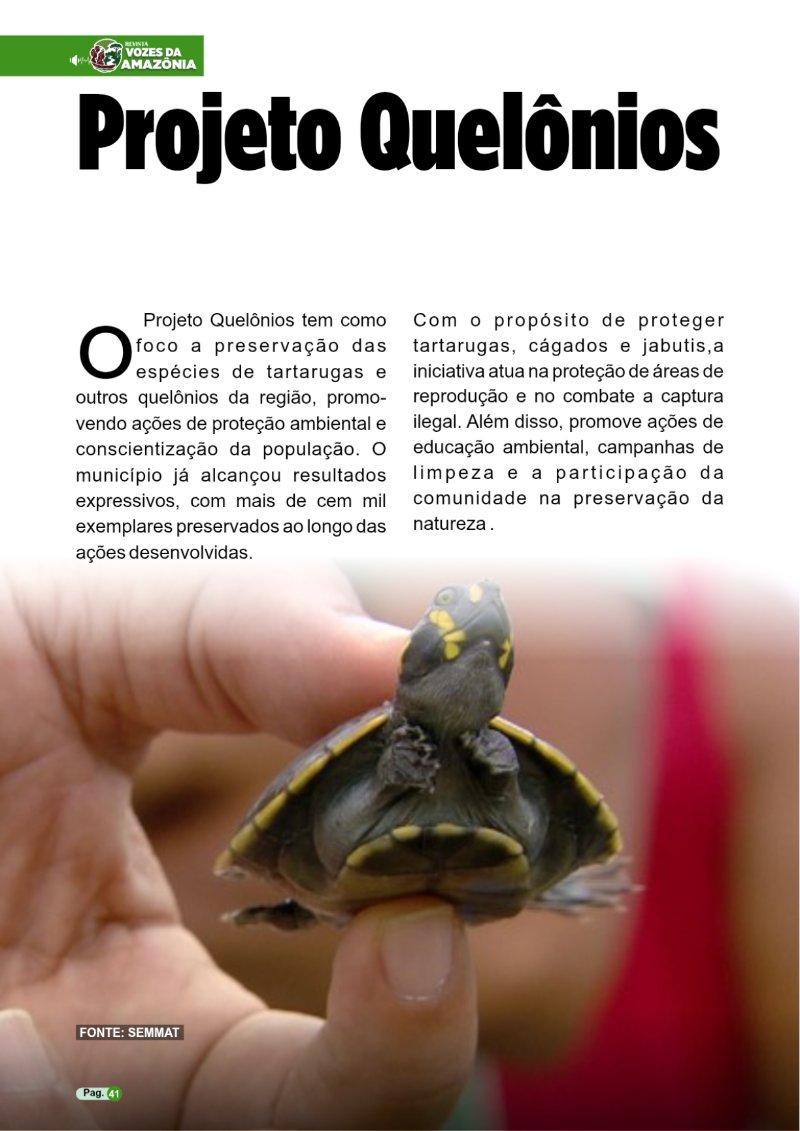 REVISTA PIÇARRA-PA Entregue — page 41