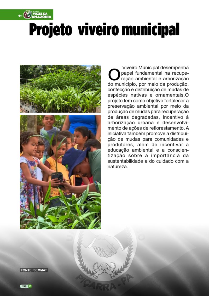 REVISTA PIÇARRA-PA Entregue — page 50