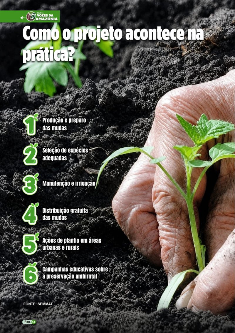 REVISTA PIÇARRA-PA Entregue — page 51