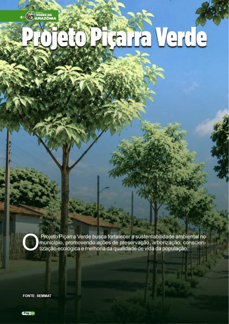 REVISTA PIÇARRA-PA Entregue — page 53