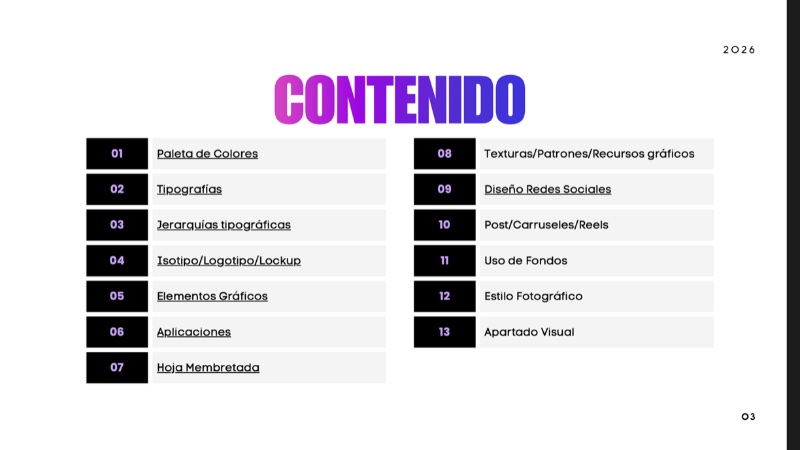MANUAL DE MARCA-NEXT LEVEL — page 3