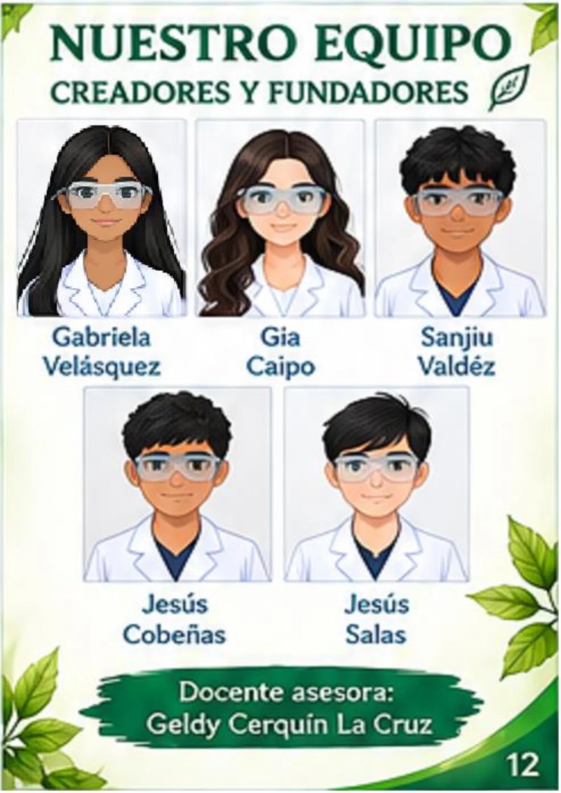 CATALOGO REGENMINT — page 12