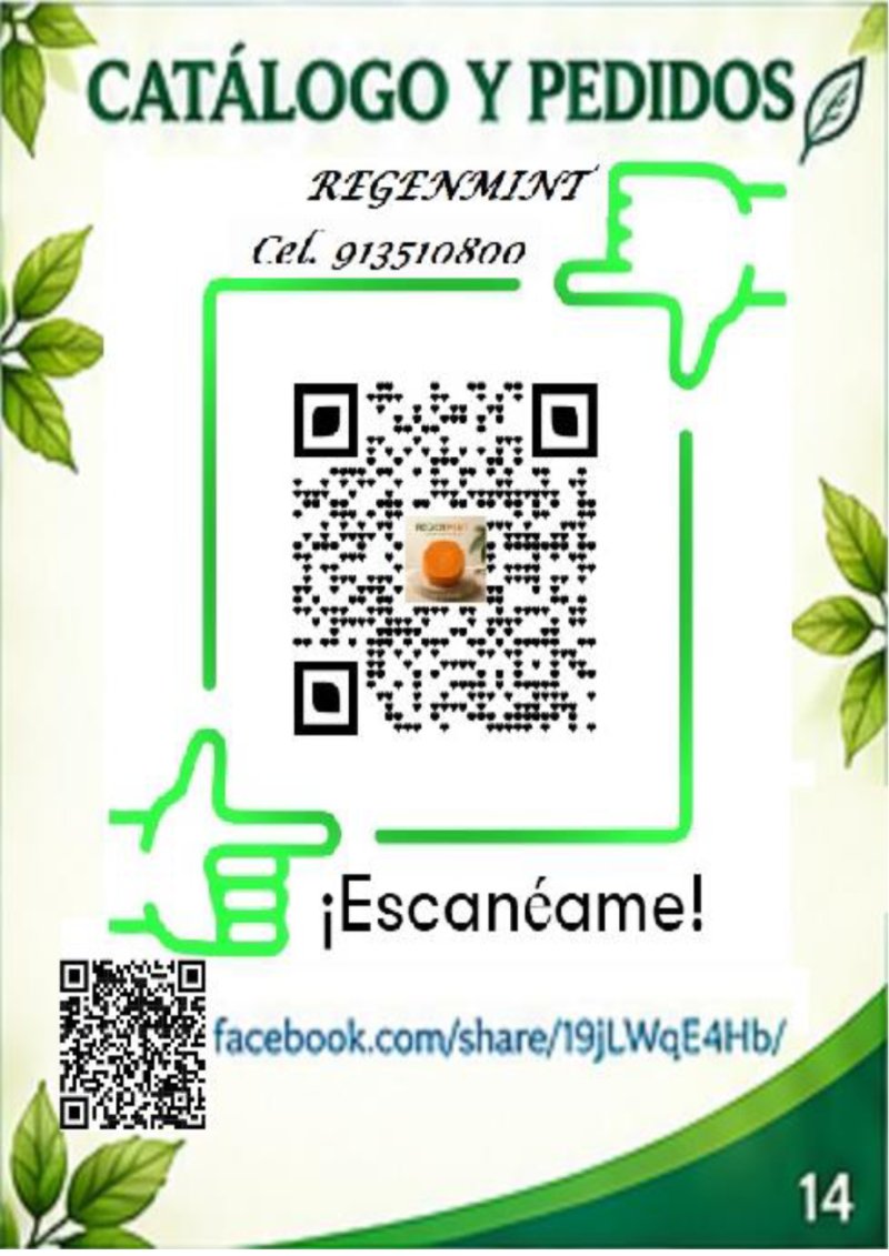 CATALOGO REGENMINT — page 14