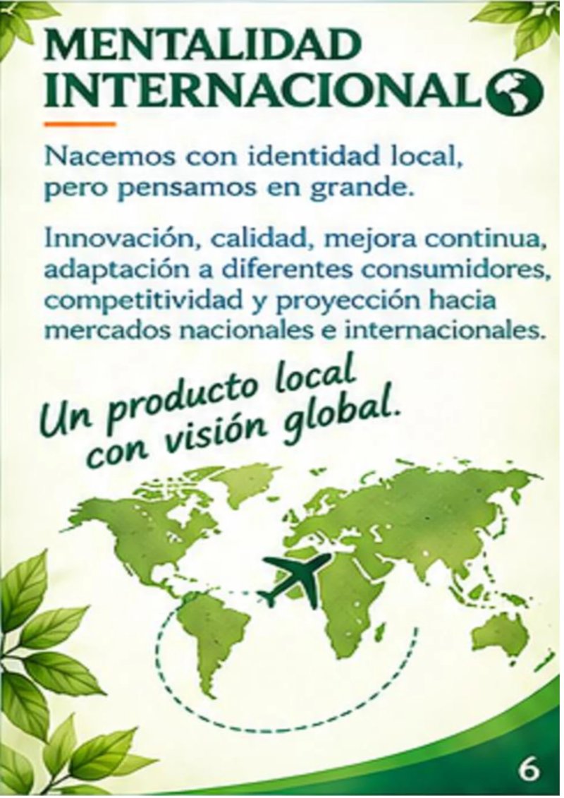 CATALOGO REGENMINT — page 6