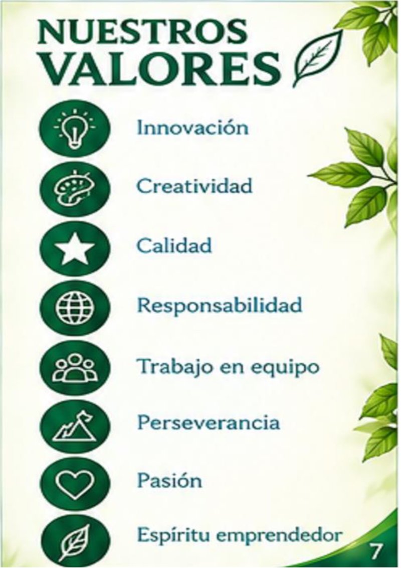 CATALOGO REGENMINT — page 7