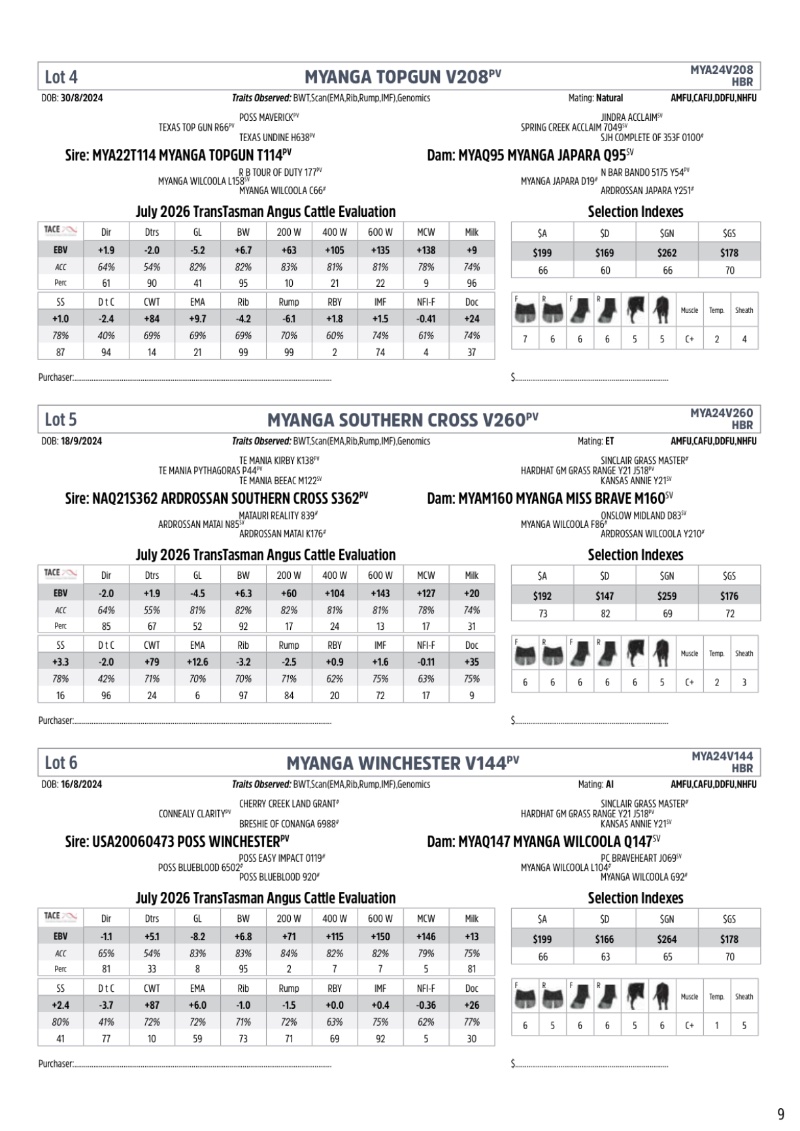 MyangaAngusBullSaleCatalogue_2026_20260717 — page 11