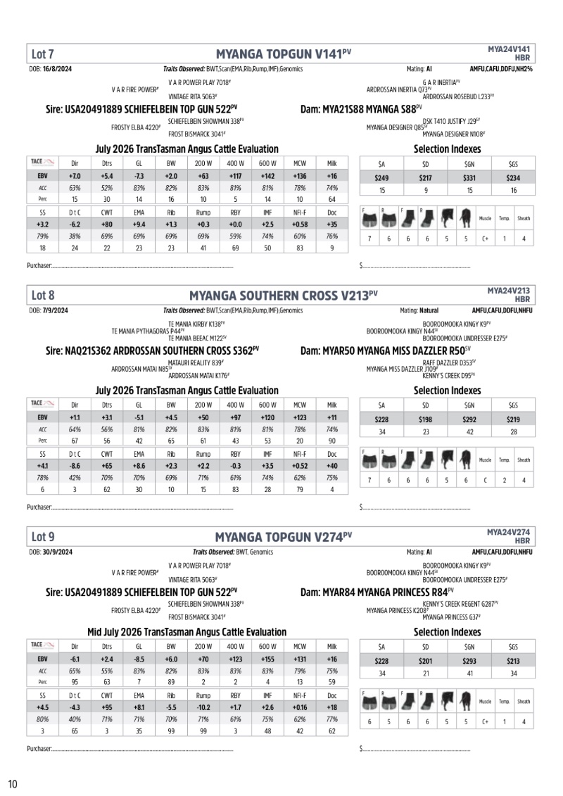 MyangaAngusBullSaleCatalogue_2026_20260717 — page 12