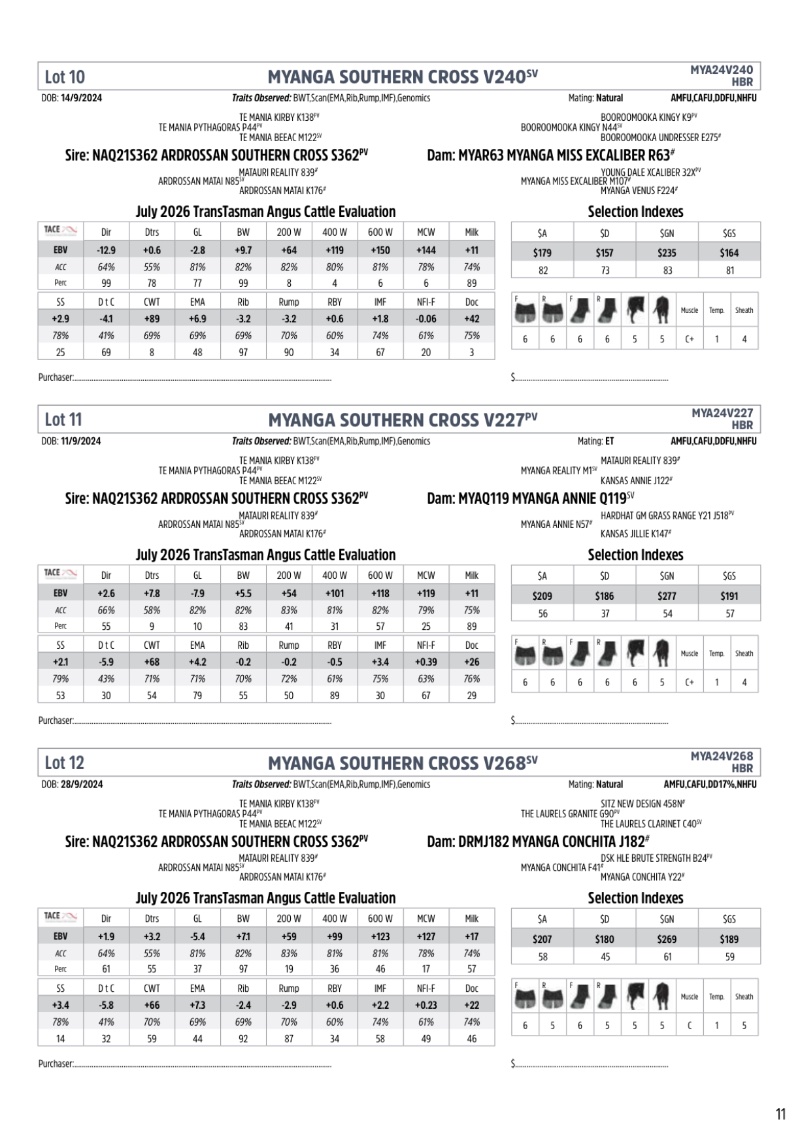MyangaAngusBullSaleCatalogue_2026_20260717 — page 13