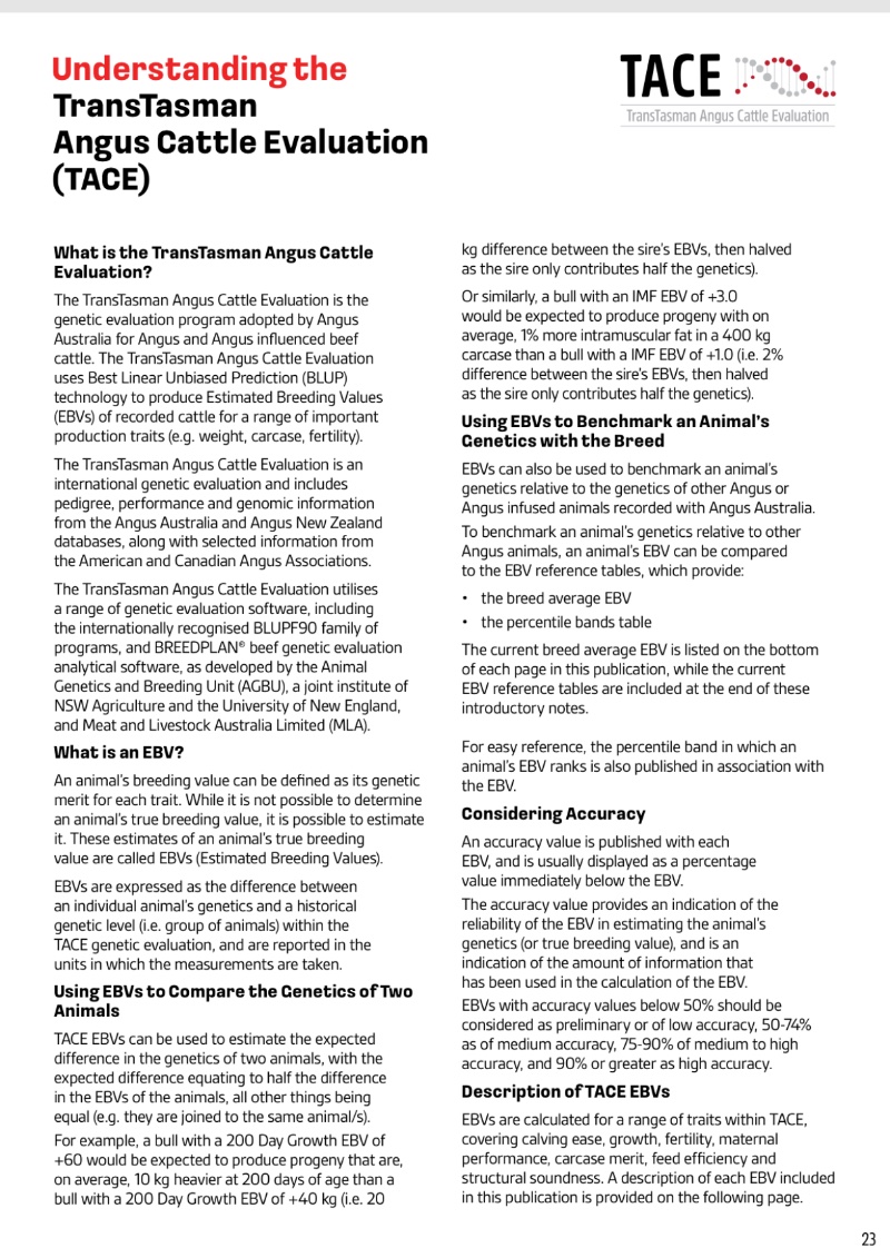 MyangaAngusBullSaleCatalogue_2026_20260717 — page 25
