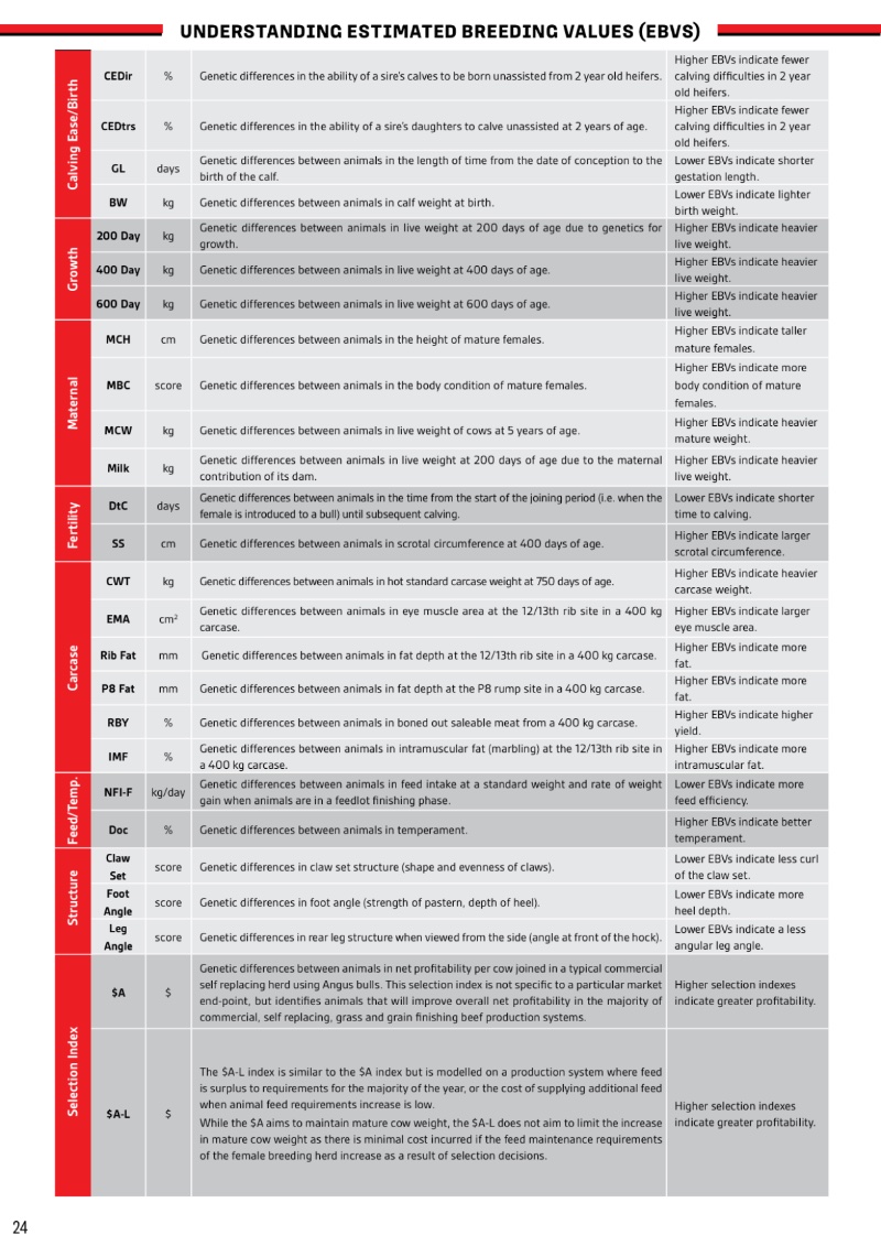 MyangaAngusBullSaleCatalogue_2026_20260717 — page 26