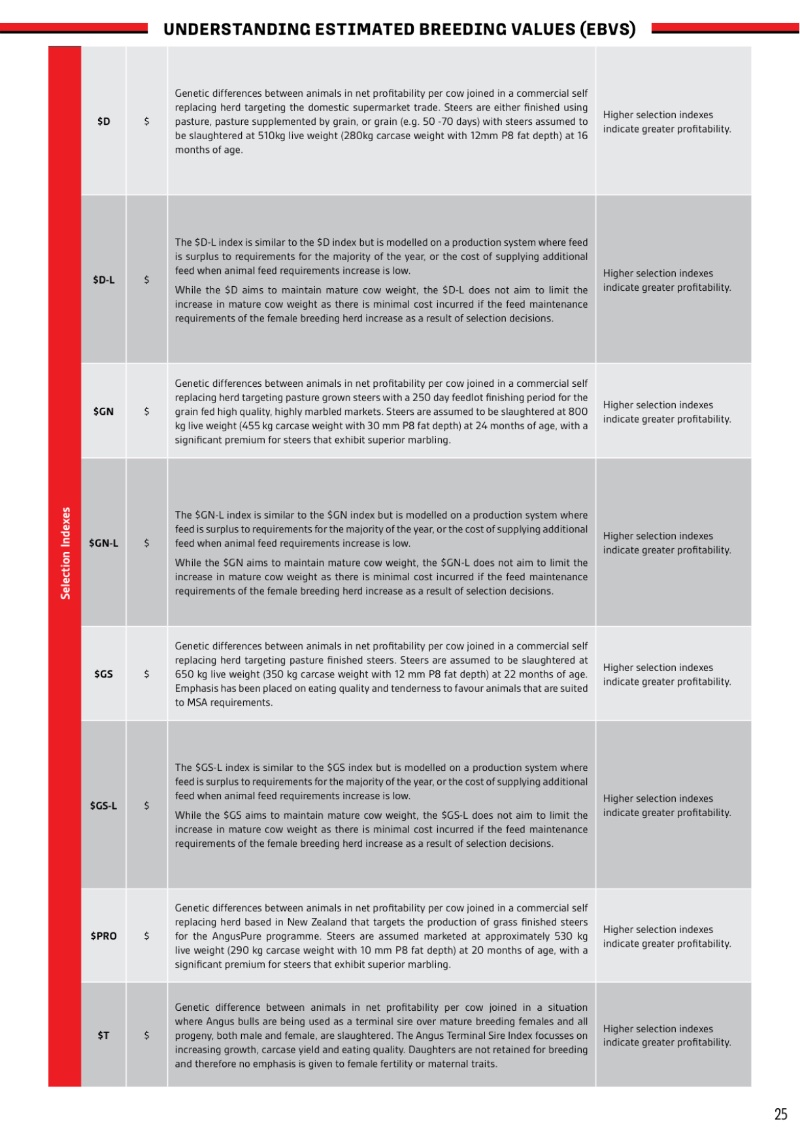 MyangaAngusBullSaleCatalogue_2026_20260717 — page 27