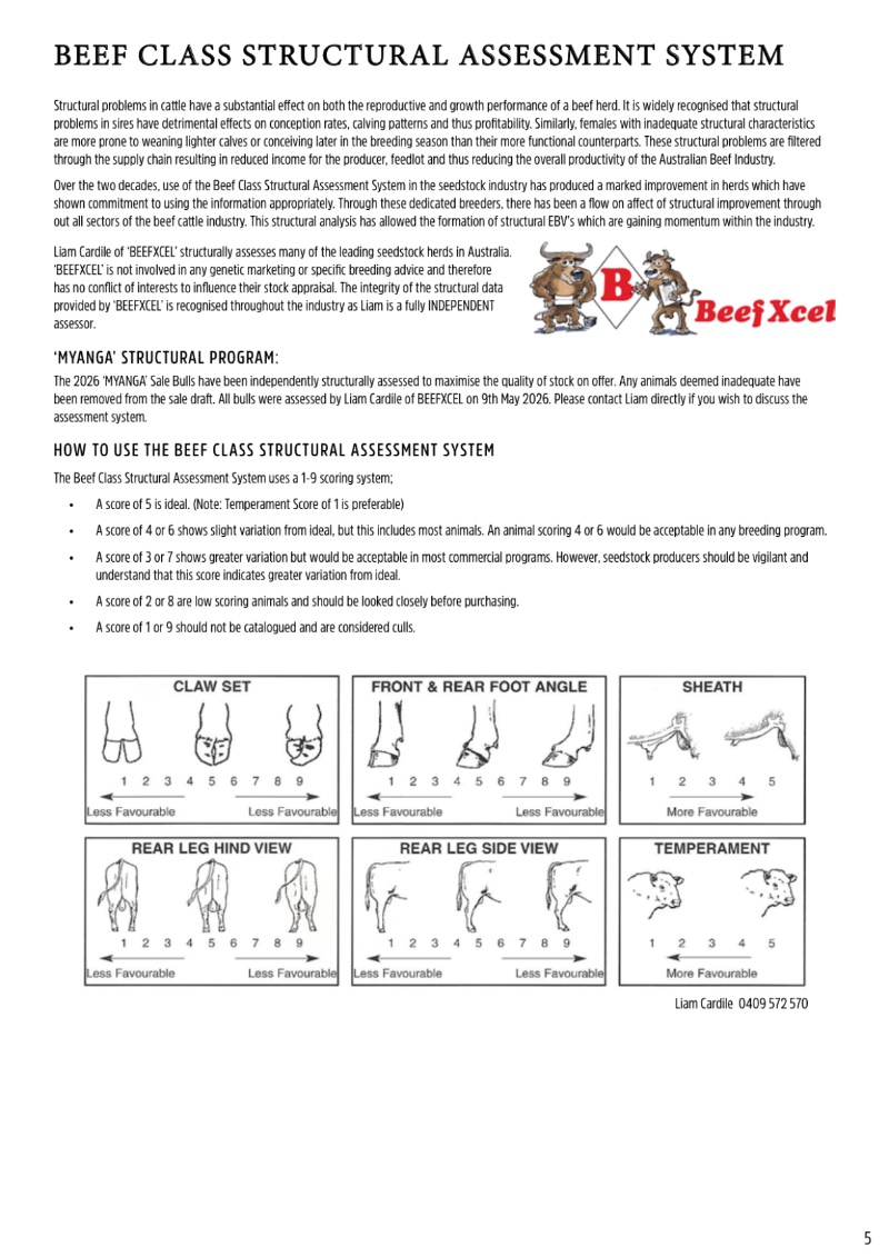 MyangaAngusBullSaleCatalogue_2026_20260717 — page 7