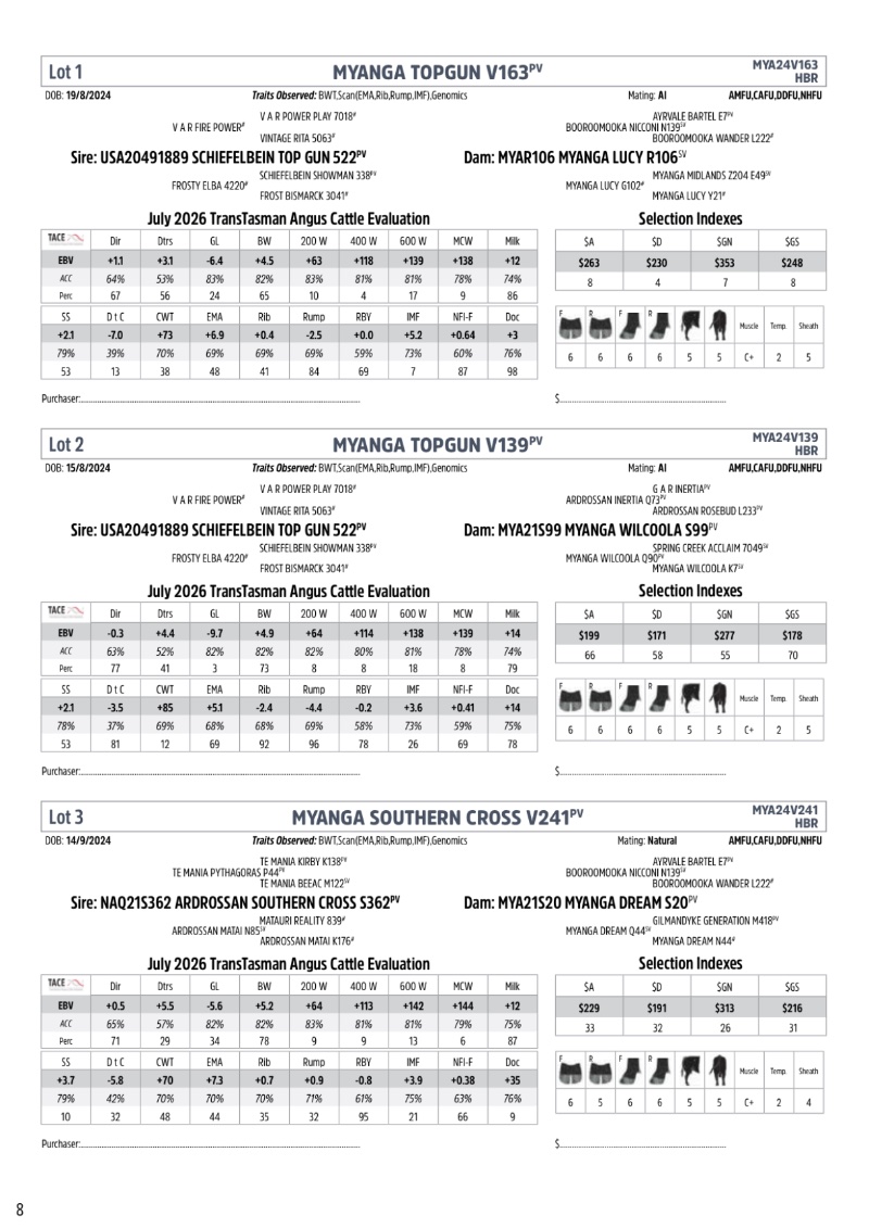MyangaAngusBullSaleCatalogue_2026_20260717 — page 10