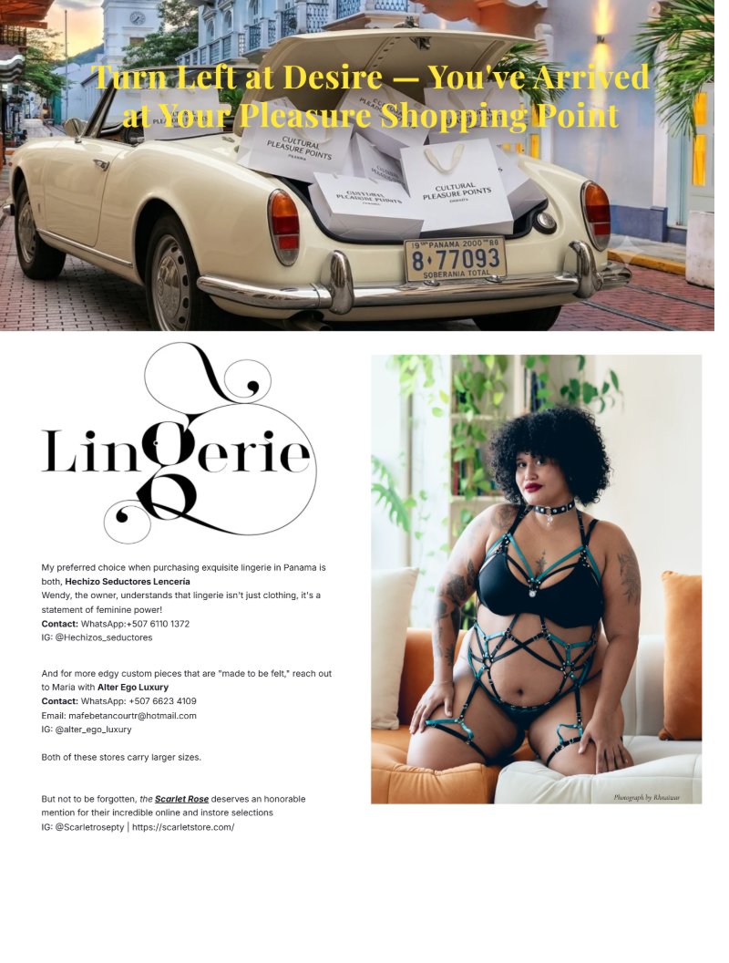 The Panama Pleasure Guide — page 24