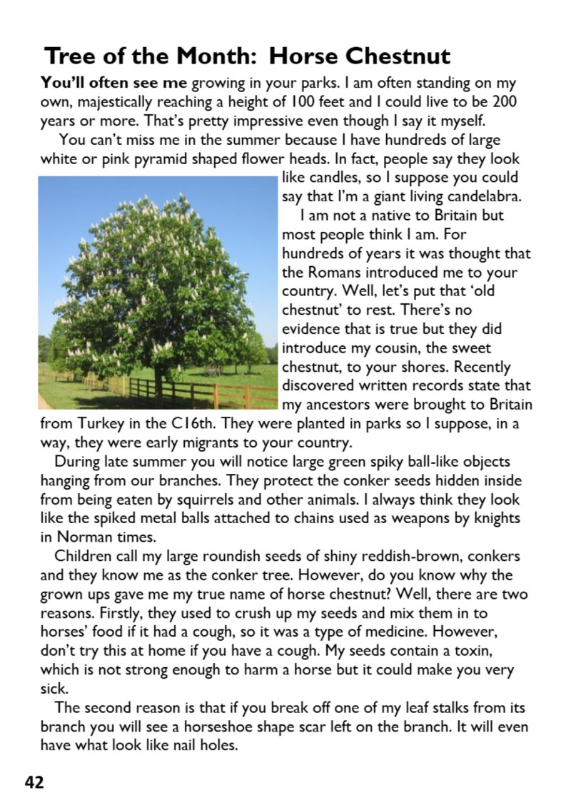 St Mary's Parish Magazine July/Aug 2026 — page 42