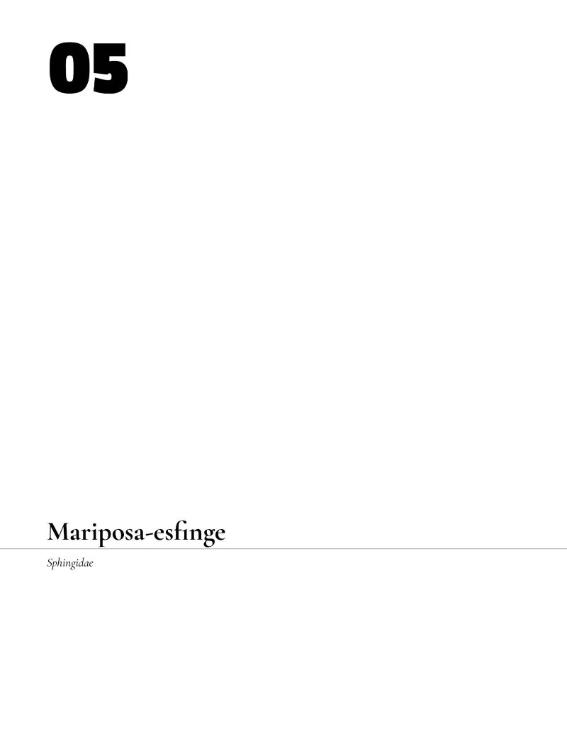 Flashbookzine — page 20