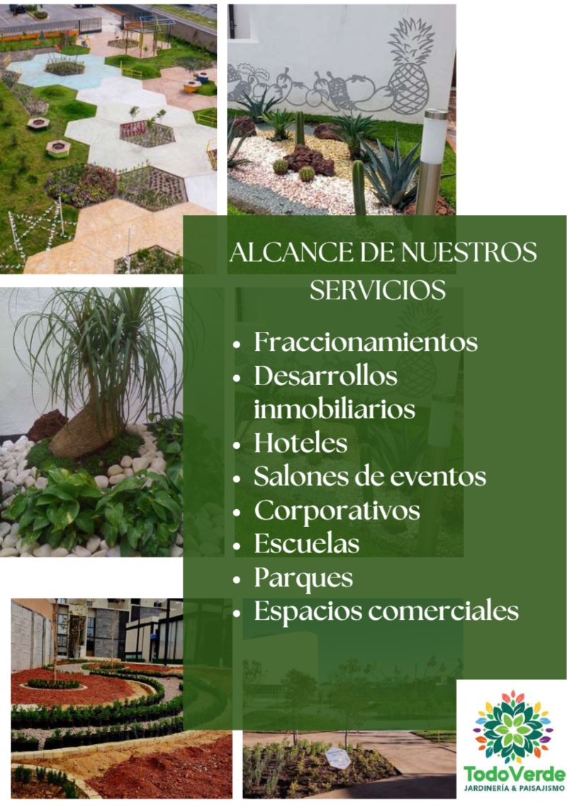 _Revista Catálogo SERVICIOS _ — page 12