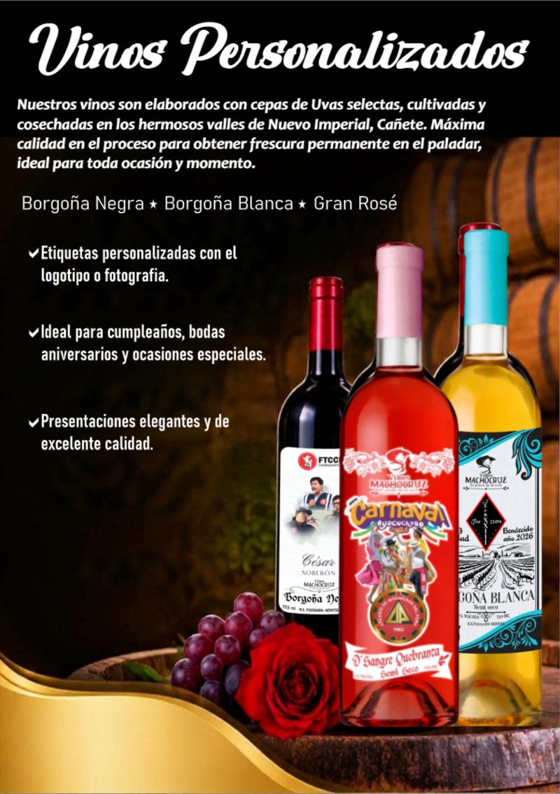 CATALOGO DE PERSONALIZADOS PARA ANDESMIN — page 3