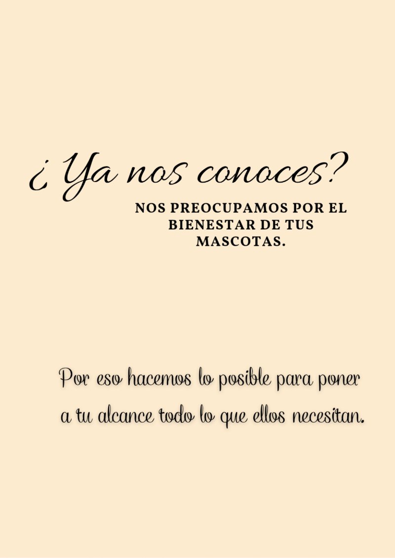 catalogo para tu mascota — page 2