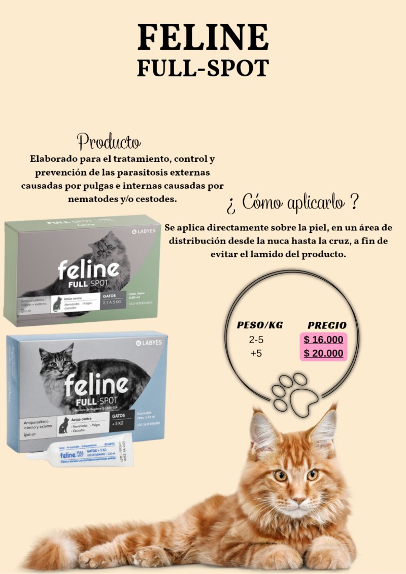 catalogo para tu mascota — page 12