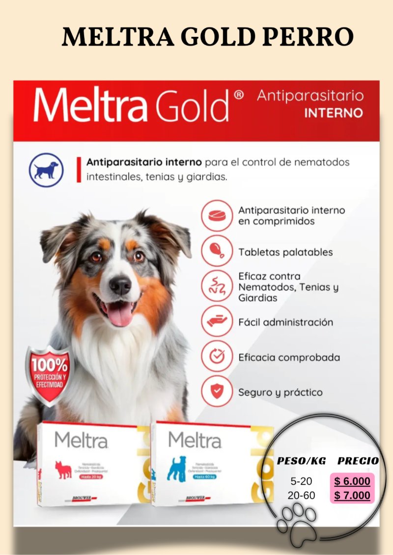 catalogo para tu mascota — page 15