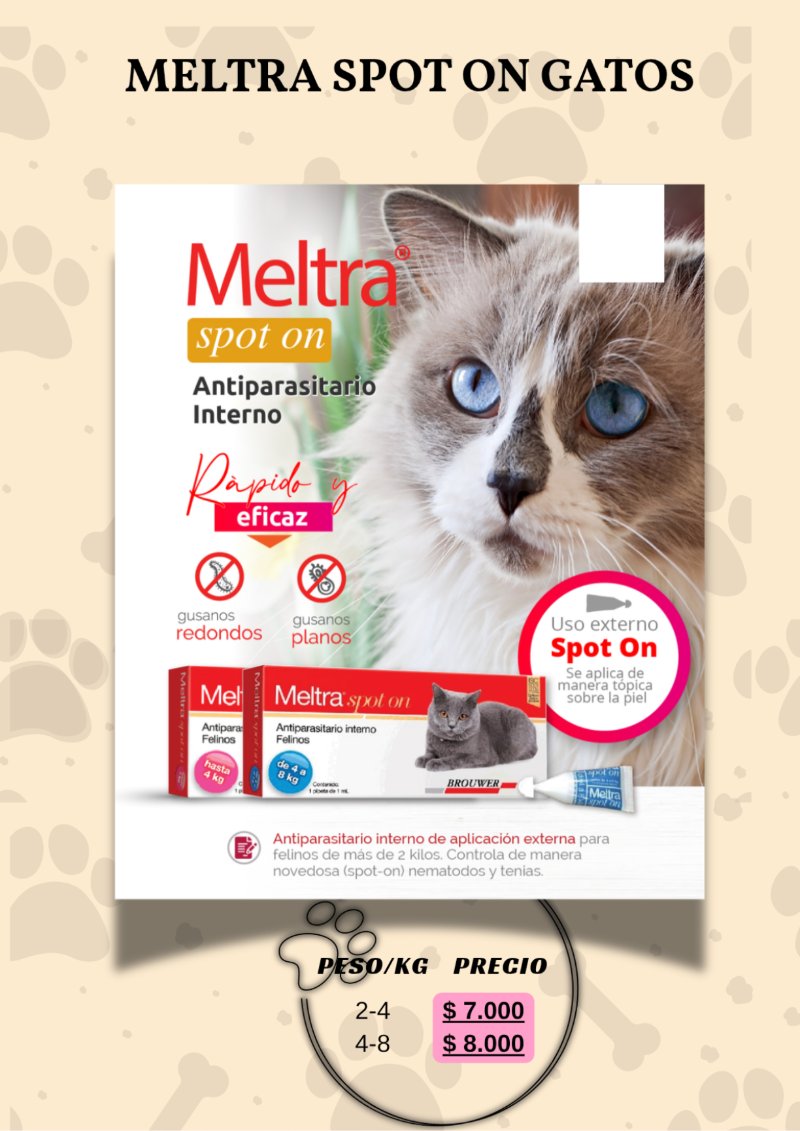 catalogo para tu mascota — page 16
