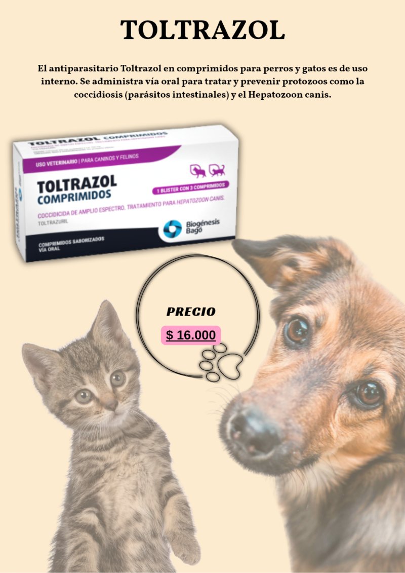 catalogo para tu mascota — page 17