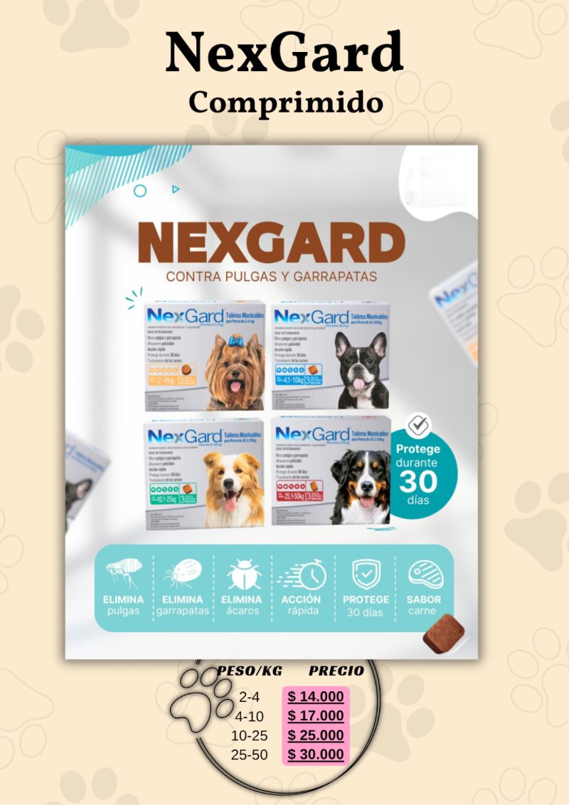 catalogo para tu mascota — page 19