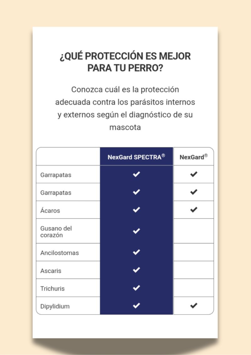 catalogo para tu mascota — page 20