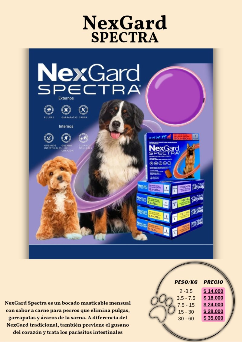 catalogo para tu mascota — page 21