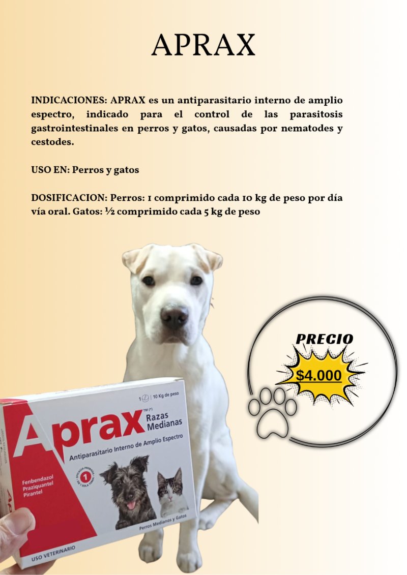 catalogo para tu mascota — page 22