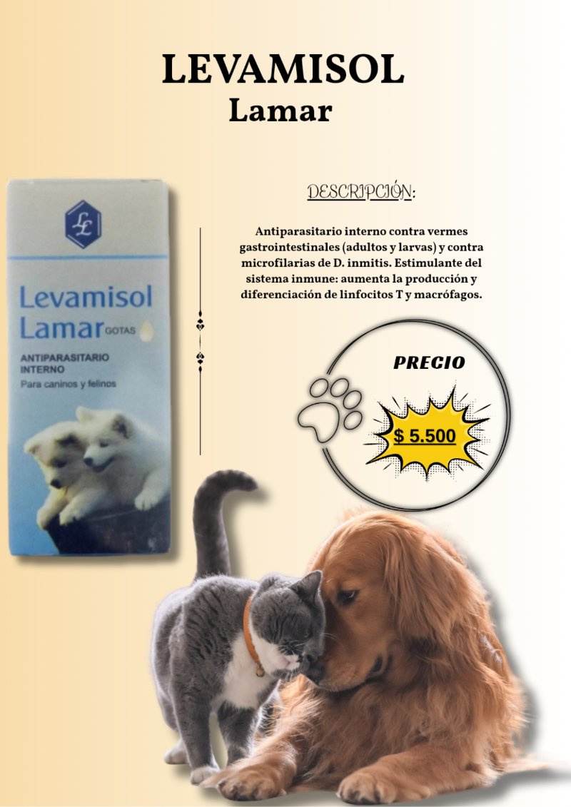 catalogo para tu mascota — page 23