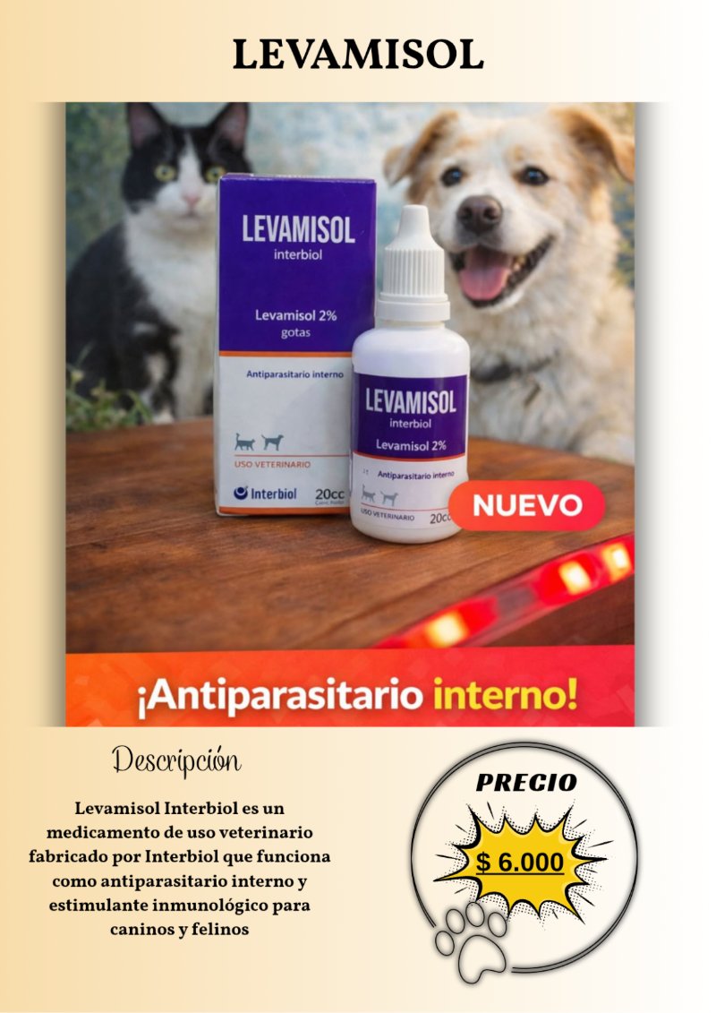 catalogo para tu mascota — page 24