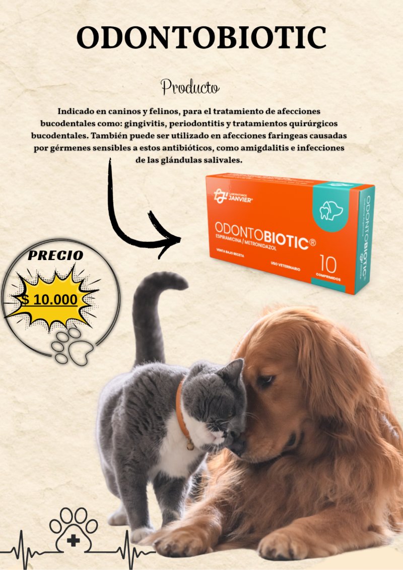 catalogo para tu mascota — page 27