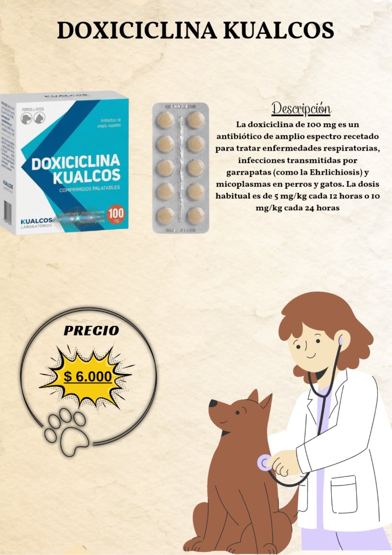 catalogo para tu mascota — page 29