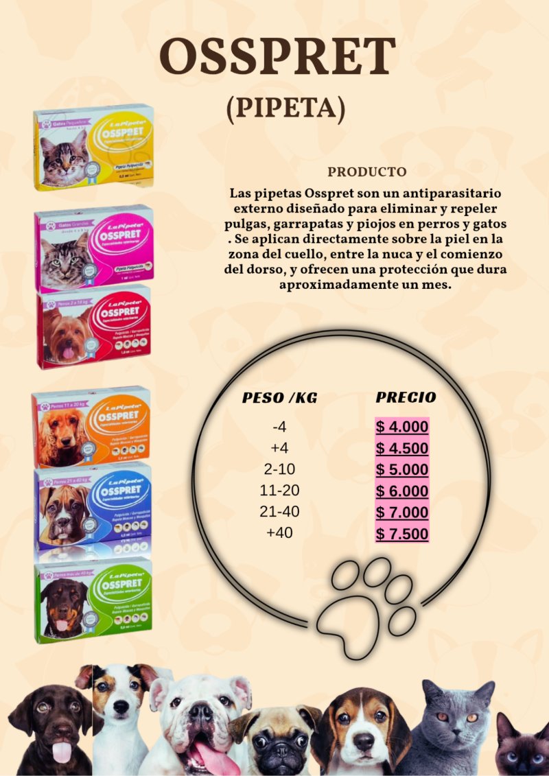 catalogo para tu mascota — page 4