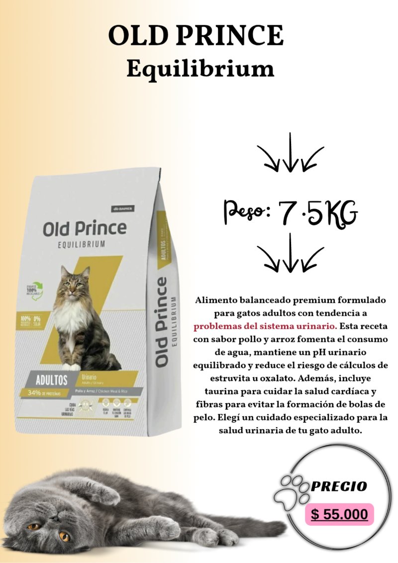 catalogo para tu mascota — page 41