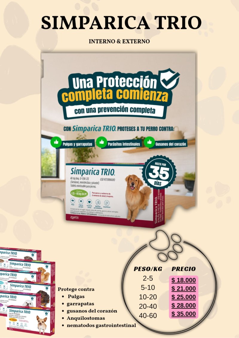 catalogo para tu mascota — page 7