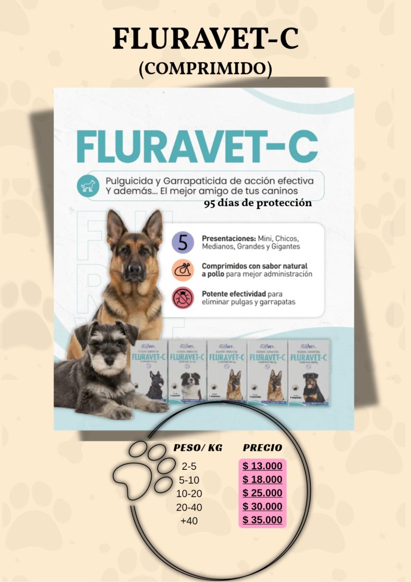 catalogo para tu mascota — page 8