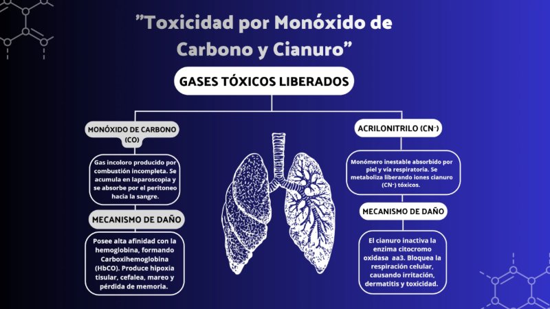 HUMO QUIRRUGICO — page 8