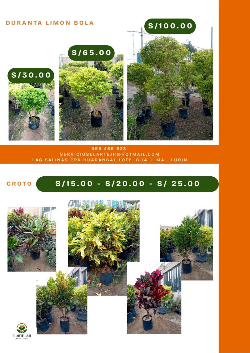 CATALOGO VIVERO ELARTE — page 2