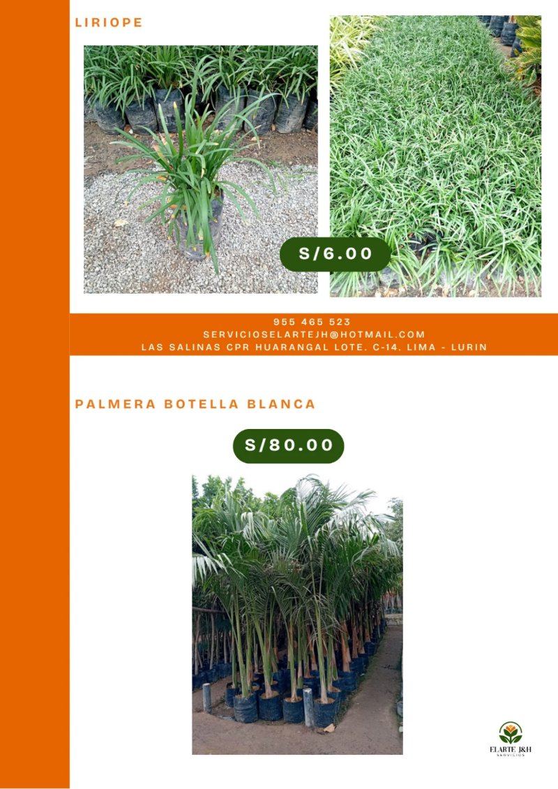 CATALOGO VIVERO ELARTE — page 11
