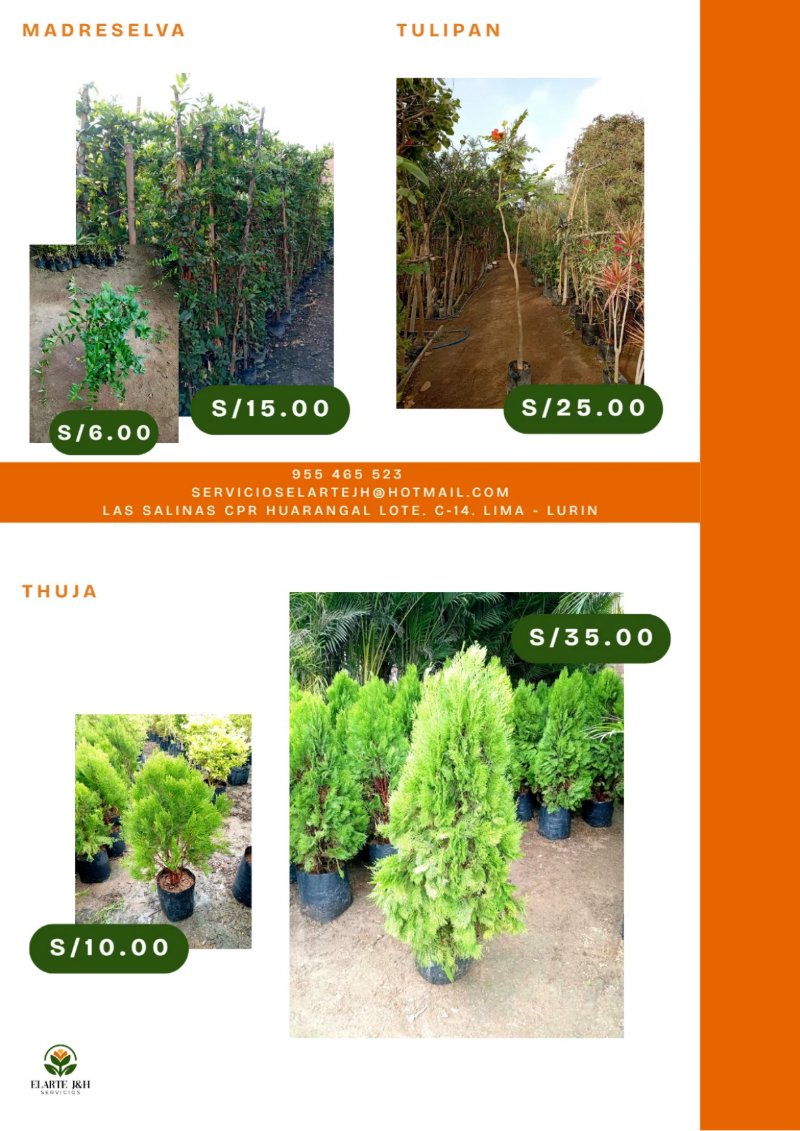 CATALOGO VIVERO ELARTE — page 12