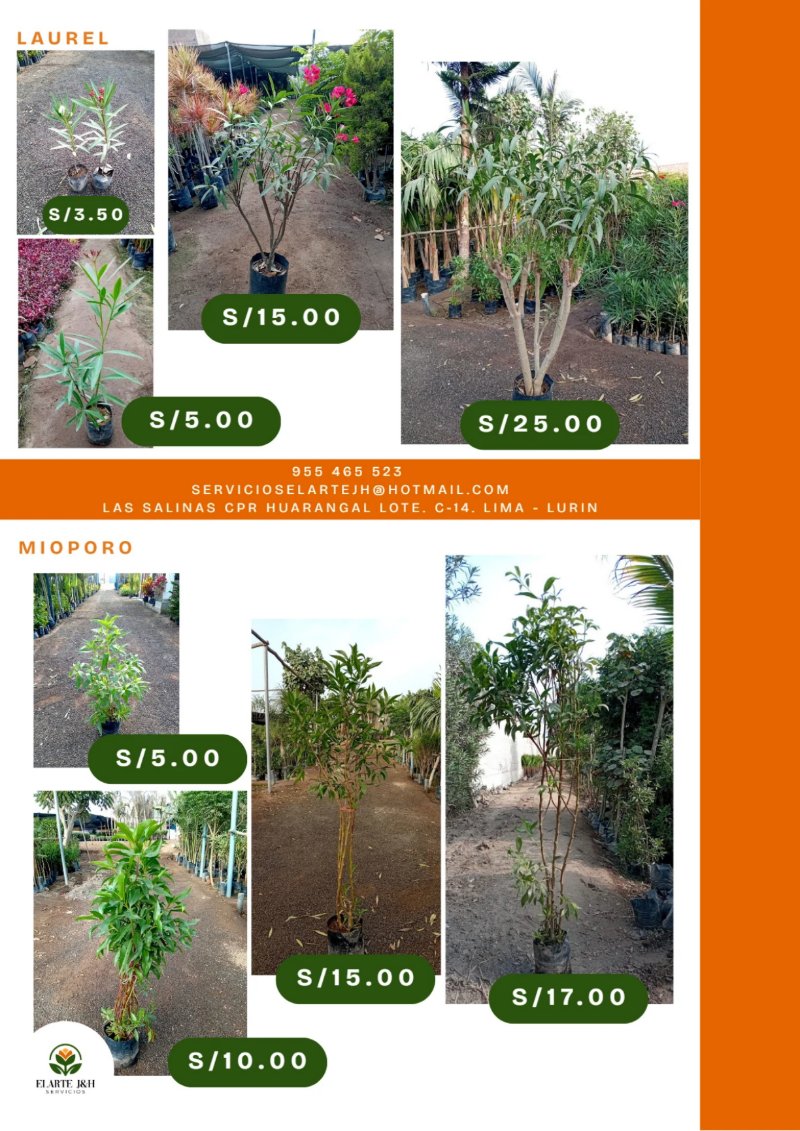 CATALOGO VIVERO ELARTE — page 15
