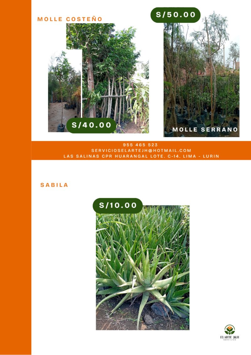 CATALOGO VIVERO ELARTE — page 17
